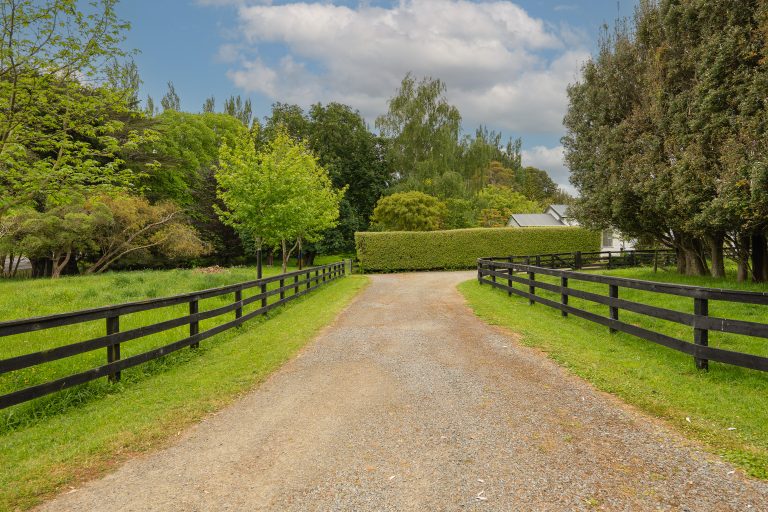 Horse Lover Paradise With This Cottage Lifestyle Block