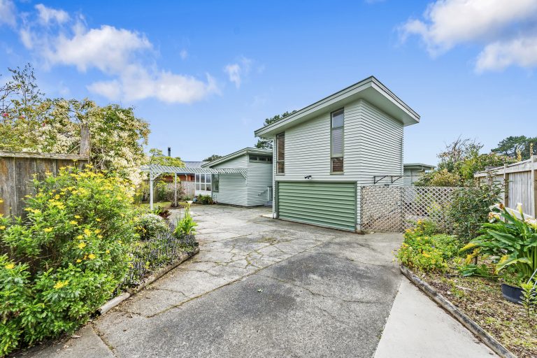 Cherry Blossom Beauty