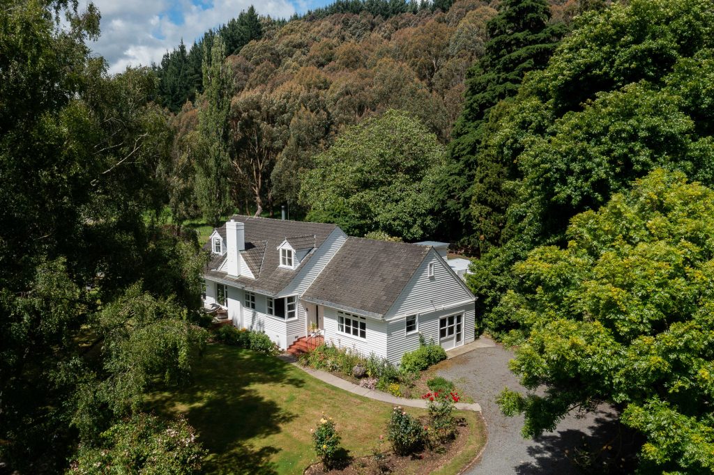 Aerial of a home framed by mature trees